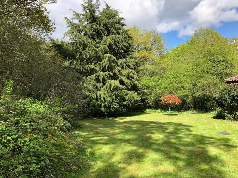 Forestry Cottage. Hot Tub, Open Fire, Dog Friendly Gaywood Exterior foto